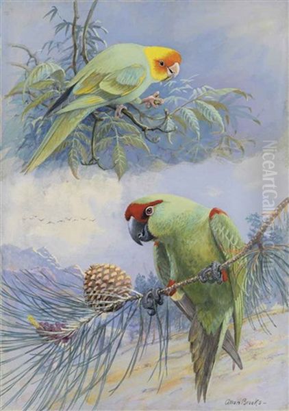 Carolina Parakeet And Thick Billed Parrot Oil Painting by Allan Brooks