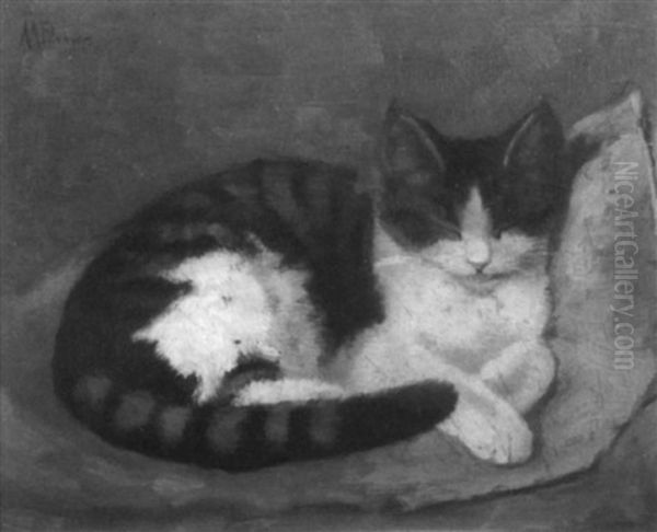 Kitten Sleeping On A Cushion Oil Painting by Agnes A. Brown