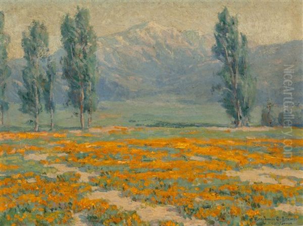 Golden Poppies Near Mount San Jacinto, California Oil Painting by Benjamin Chambers Brown