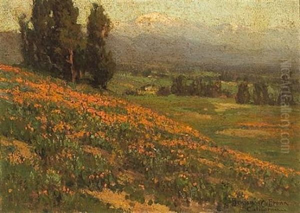 Pasadena Poppies With Mount Baldy In The Distance Oil Painting by Benjamin Chambers Brown