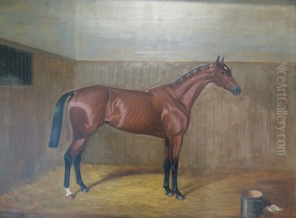 Cheval Au Box Oil Painting by Edward (of Coventry) Brown