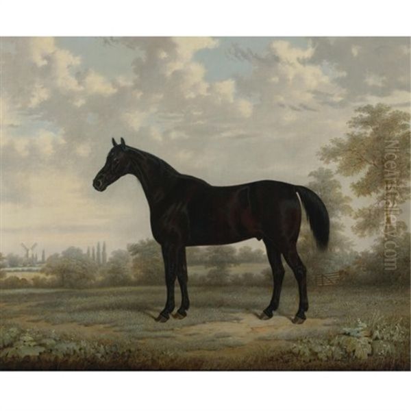 A Bay Horse In A Landscape Oil Painting by Edward (of Coventry) Brown