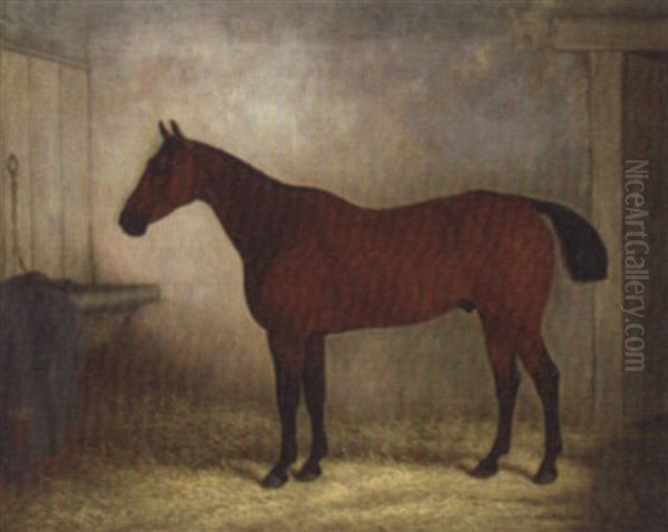 A Bay Hunter In A Stable Oil Painting by Edward (of Coventry) Brown