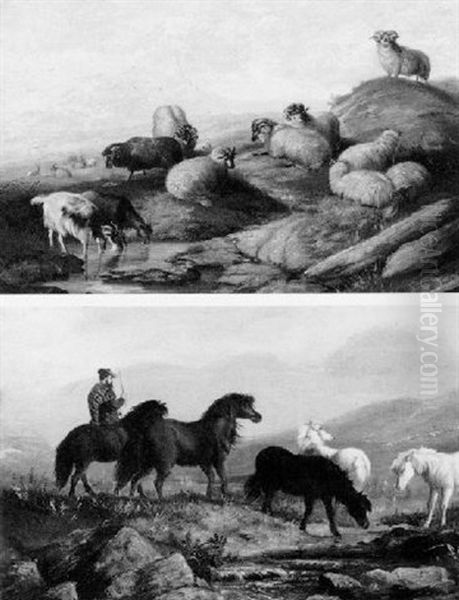 Scotch Sheep On The Hillside Oil Painting by Frederick Brown