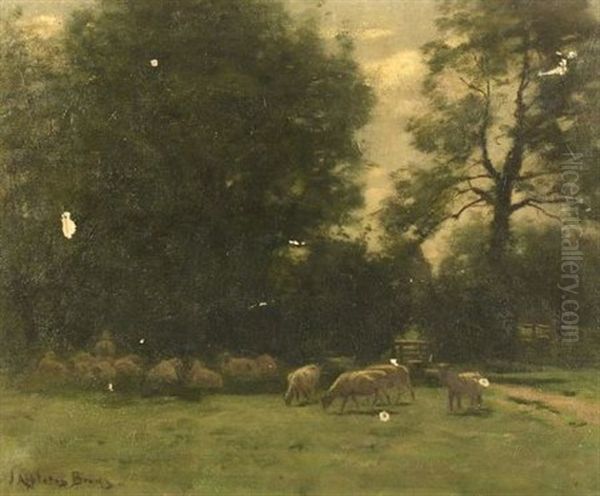 Sheep At Pasture Oil Painting by John Appleton Brown