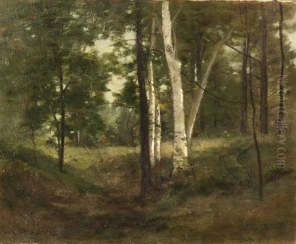 Quiet Grove With Birch Trees Oil Painting by John Appleton Brown