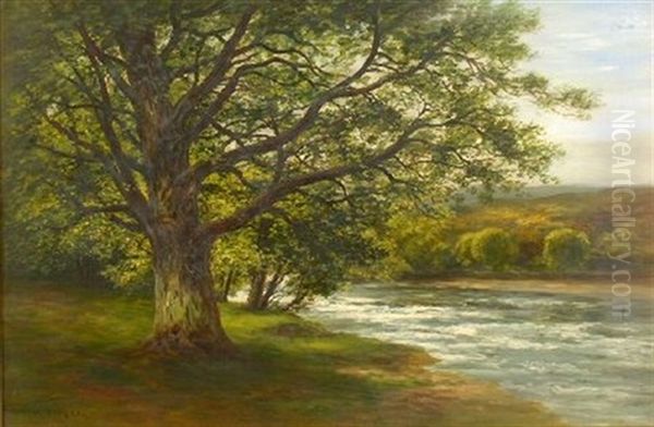 The Elder Oil Painting by William Beattie Brown