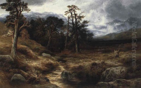 In The Forest Of Ennich Among The Grampians Oil Painting by William Beattie Brown