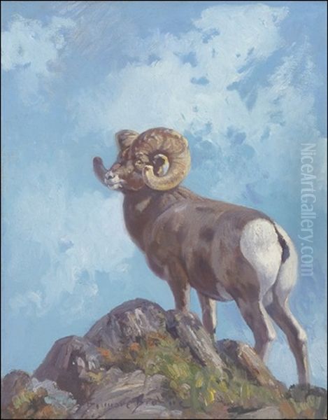 Rocky Mountain Ram Oil Painting by Belmore Browne