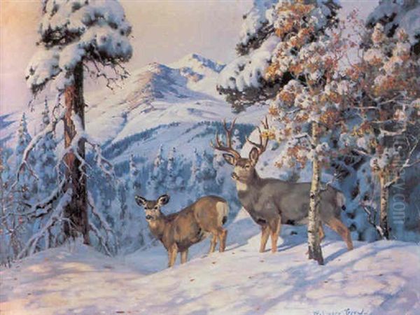 Deer In The High Country Oil Painting by Belmore Browne