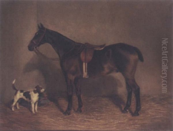 A Saddled Brown Horse Oil Painting by Nassau Blair Browne