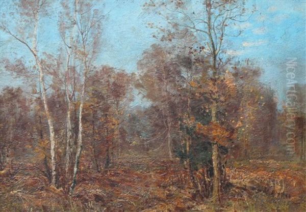 Birchwood Near Eagle Peak, British Columbia Oil Painting by Peleg Franklin Brownell