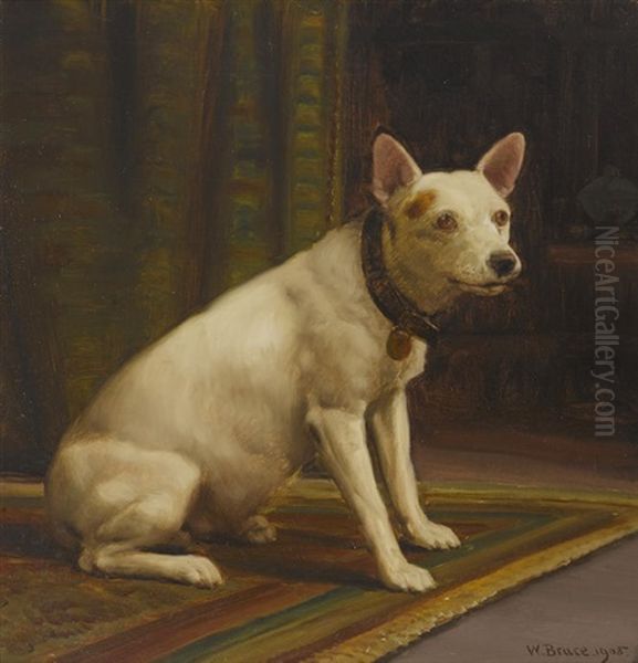 Seated White Terrier Oil Painting by William Bruce