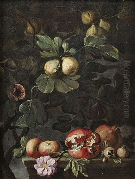 Stilleben Mit Feigenbaum Sowie Apfeln, Rose Und Granatapfeln Auf Einem Steinpodest. Stilleben Mit Weinstock Sowie Apfeln, Bluten Und Birnen Auf Einem Steinpodest (pair) Oil Painting by Abraham Brueghel