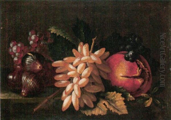 Still Life Of Red And White Grapes, Figs And Pomegranate Oil Painting by Abraham Brueghel