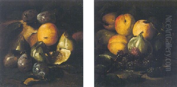 Still Life Of Apples, Plums And Other Fruit Oil Painting by Abraham Brueghel