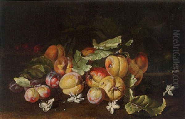 Peaches, Plums, Cherries And Blossom On A Bank Oil Painting by Abraham Brueghel