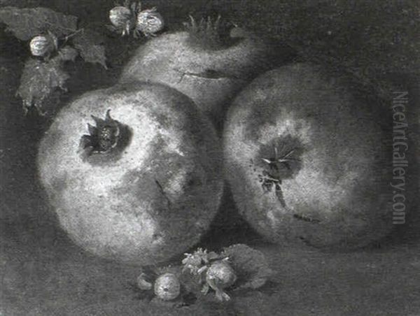 Still Life Of Pomegranates And Gooseberries Oil Painting by Abraham Brueghel