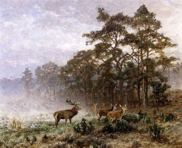 Deers At Dawn Oil Painting by Alfred von Bruehl