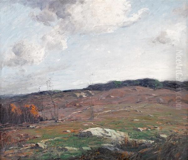 Brown Hillside by George Matthew Bruestle