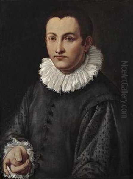 Portrait Of A Young Man Oil Painting by Alessandro Allori