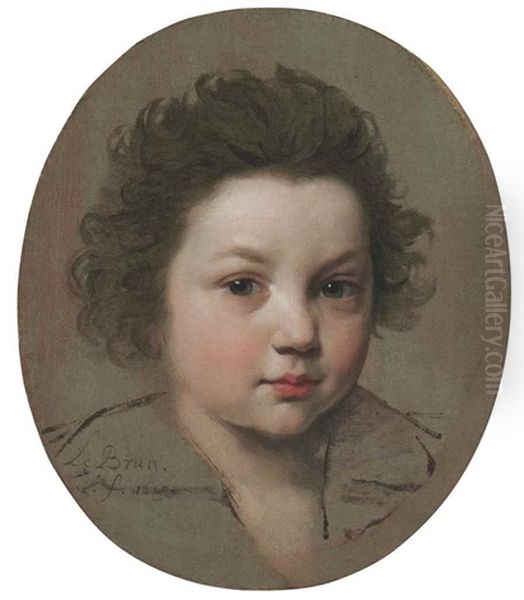 Portrait Of A Boy, Bust-length by Charles Le Brun