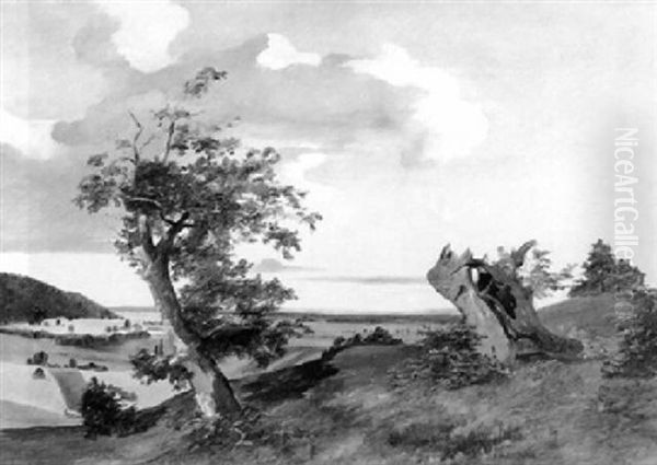 Landschaftsmotiv Aus Niederosterreich Oil Painting by Joseph Brunner