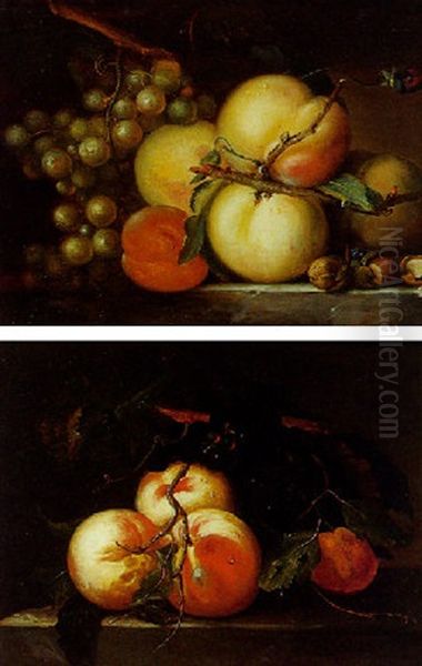 Nature Mortes Aux Fruits : Peches Et Raisins Blancs Oil Painting by Paul Theodor van Bruessel