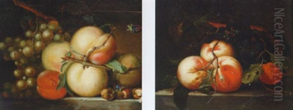 White Grapes And Peaches On A Ledge Oil Painting by Paul Theodor van Bruessel