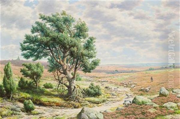 Sheep Grazing On Heathland Oil Painting by Hermann De Bruycker