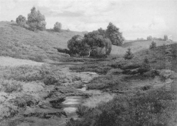 Sonne Und Schatten In Der Heide Oil Painting by Hermann De Bruycker