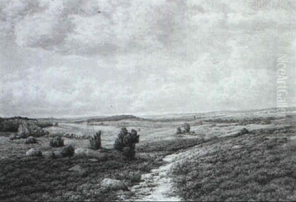 Wolkenschatten Ziehen Uber Verbluhende Heide Oil Painting by Hermann De Bruycker