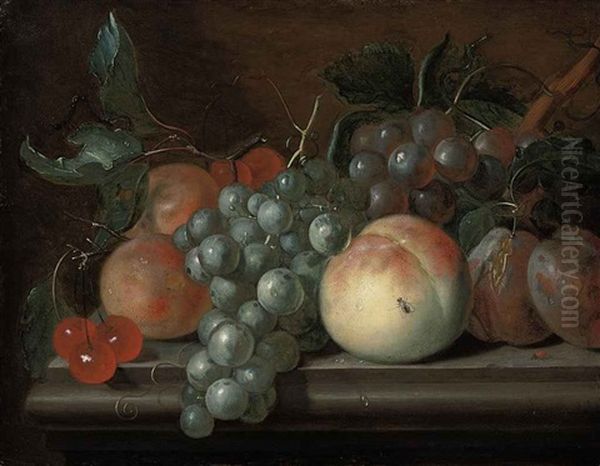 Cherries, Grapes, Plums, Apricots And A Peach On A Stone Ledge Oil Painting by Johannes Cornelis de Bruyn