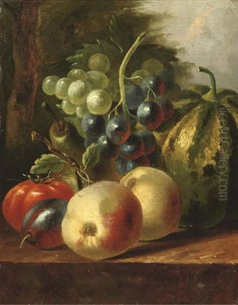 Still Life With Fruit Oil Painting by Johannes Cornelis de Bruyn