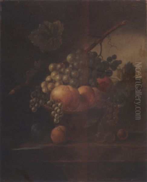 A Still Life With Various Fruits Oil Painting by Johannes Cornelis de Bruyn