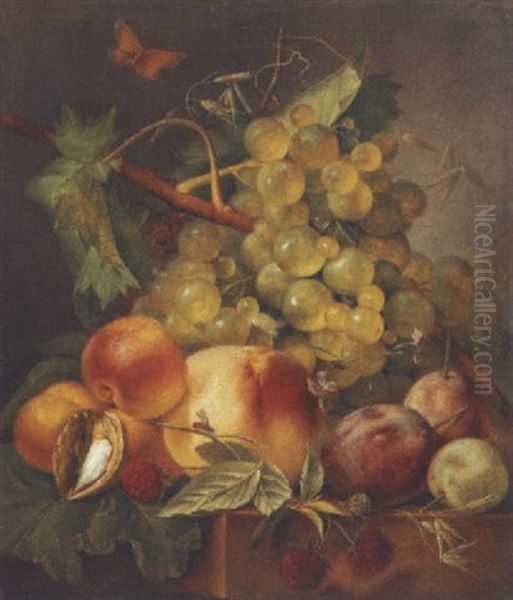 Nature Morte Aux Fruits Et Au Papillon Oil Painting by Johannes Cornelis de Bruyn