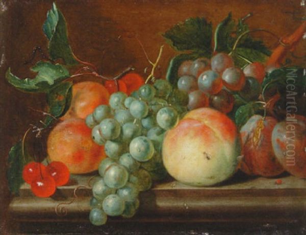 Cherries, Grapes, Plums, Apricot And A Peach On A Stone Ledge Oil Painting by Johannes Cornelis de Bruyn