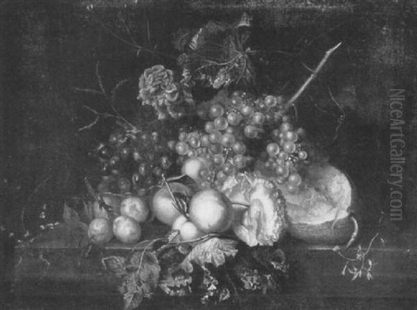 Grapes, Peaches, Plums, Raspberries, Melon And A Carnation  On A Ledge Oil Painting by Johannes Cornelis de Bruyn