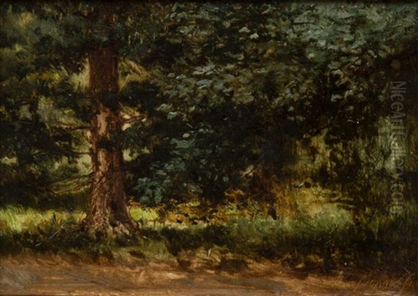 A Forest Landscape Oil Painting by Pavel Aleksandrovich Bryullov