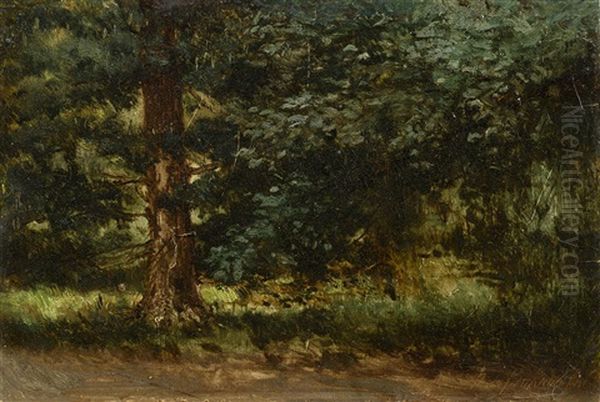 Forest Oil Painting by Pavel Aleksandrovich Bryullov