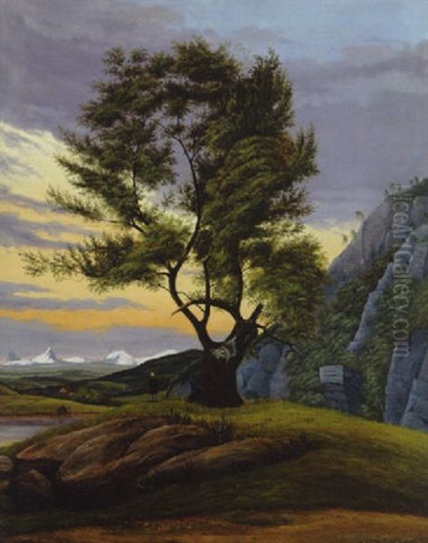 Patagonische Landschaft Mit Einzelnem Baum Vor Abendhimmel Oil Painting by Eduard Von Buchan