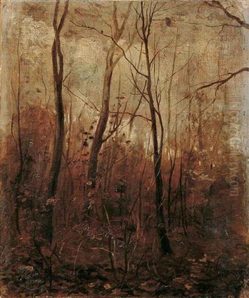 Waldstudie. Im Webicht Bei Weimar Oil Painting by Karl Buchholz