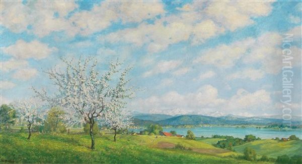 Spring - View Of The Staffelsee From Uffing With View Of The Bay Of Seehausen Oil Painting by Robert Buchtger