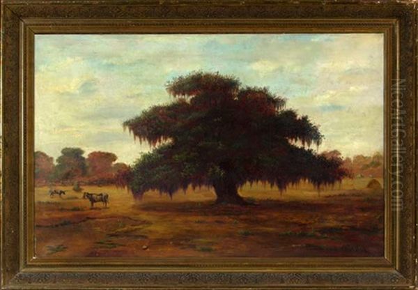 Autumnal Louisiana Pastoral Scene With Cattle Watering Beside An Oak Tree Oil Painting by William Henry Buck