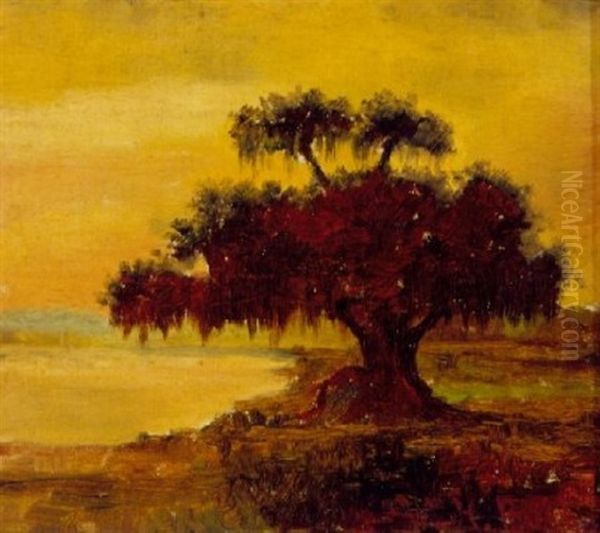 Live Oak With Spanish Moss, Lake Ponchartrain, Louisiana Oil Painting by William Henry Buck