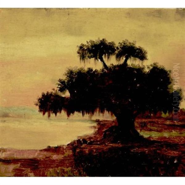 Live Oak With Spanish Moss, Lake Ponchatrain, Louisiana Oil Painting by William Henry Buck