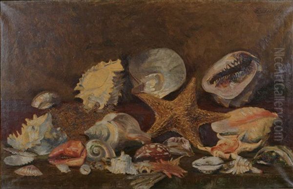 Nature Morte Aux Coquilles Et E Oil Painting by Felix Buelens