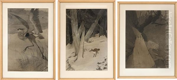 Three Wildlife Illustrations Depicting A Crane, A Prowling Tiger Or A Fox Oil Painting by Charles Livingston Bull