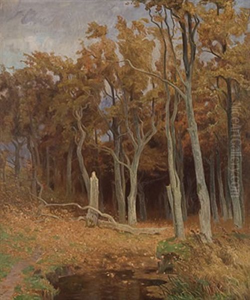 Buchen In Der Rostocker Heide Oil Painting by Franz Bunke