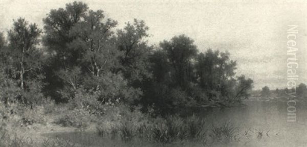 View Along The Lakebank: Spring Oil Painting by Andrew Fisher Bunner